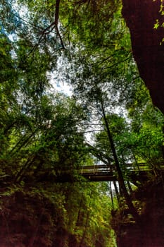 Views at Old Man's Cave, Hocking Hills State Park, Ohio