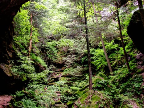 Views at Old Man's Cave, Hocking Hills State Park, Ohio