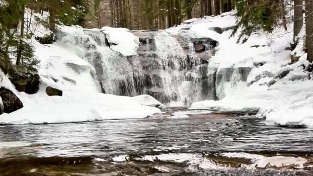 A breathtaking winter waterfall, beautifully surrounded by snow and tall trees, is located in a serene forest setting