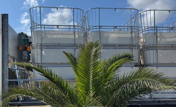 Budva, Montenegro - May 18, 2025: Ferris wheel cabins are folded, showcasing a palm tree and clear blue sky