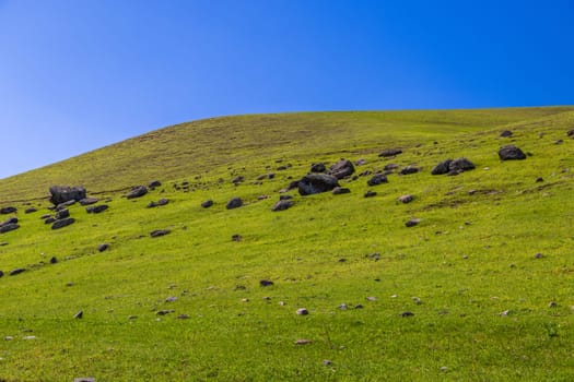 Lonely grassy slope with scattered dark rocks under a bright blue sky, captured in spring in rural Kyrgyz region