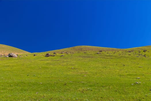 Green grassy hill with scattered rocks under a deep blue cloudless sky, captured in spring daylight in rural Kyrgyzstan