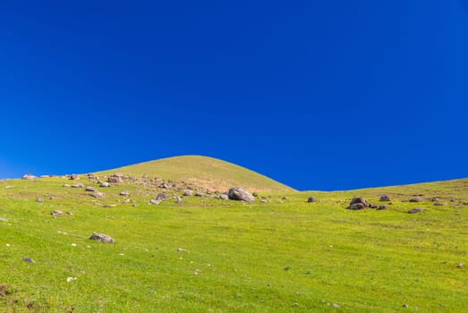 Green grassy hill with scattered rocks under a deep blue cloudless sky, captured in spring daylight in rural Kyrgyzstan