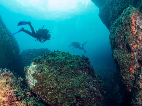 group of two divers diving between the rocks covered with coral and sponges at the bottom of the sea, concept of recreational scuba diving and underwater adventure