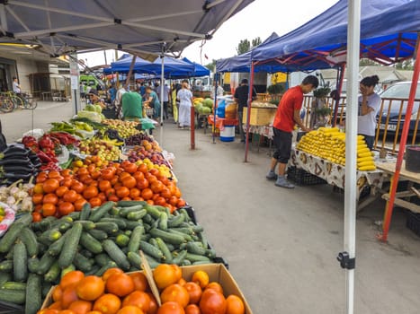 Vegetable Street market. People buying and selling fresh produce under blue canopies on a sunny day in Sokuluk, Kyrgyzstan - June 28, 2024