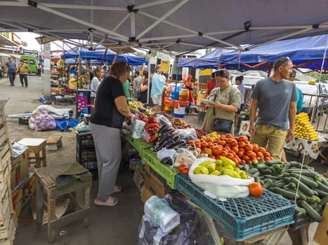 Vegetable Street market. People buying and selling fresh produce under blue canopies on a sunny day in Sokuluk, Kyrgyzstan - June 28, 2024