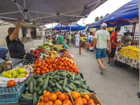 Vegetable Street market. People buying and selling fresh produce under blue canopies on a sunny day in Sokuluk, Kyrgyzstan - June 28, 2024