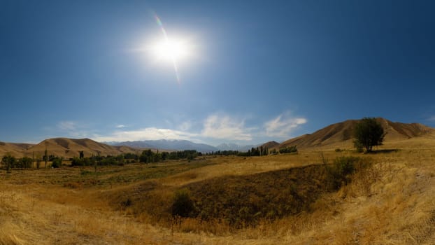 Dry grass field at sunny autumn day. Blue sky with sun on the sky.
