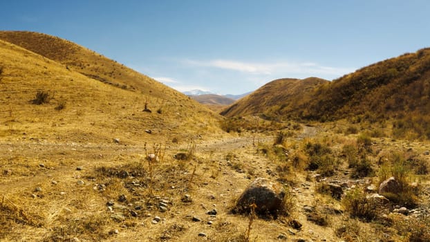 A view of arid, yellow-brown hills and rocky terrain under a pale blue sky, with snow-capped mountains in the distance.