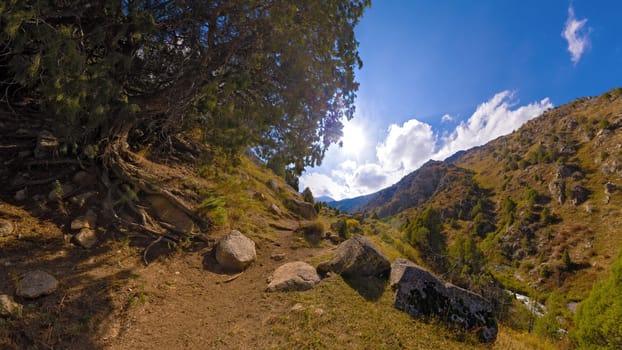 Dirt hiking path winds along a steep gorge slope under a large tree with exposed roots. Sunlit mountains and river visible. Rugged nature trail.
