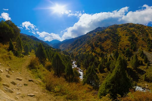 High angle view into a steep mountain gorge Zhylamysh A river flows below forested slopes showing green junipers and autumn colors. Sunny blue sky with clouds.
