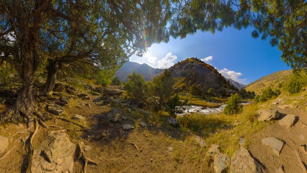 A view from under the shade of trees looks out onto a bright mountain scene. A clear stream flows through the valley, flanked by rocky slopes and sparse vegetation. The sun shines brightly in the blue sky with scattered white clouds, partially obscured by the mountain peaks.