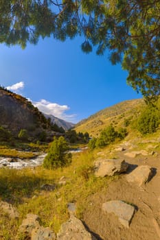 A view looking through the branches of Juniper trees into a sunlit mountain valley. A clear river flows along the valley floor, bordered by grassy slopes with scattered evergreen trees and rocks.