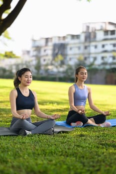 Two young women practicing mindfulness and meditation in a green outdoor space.