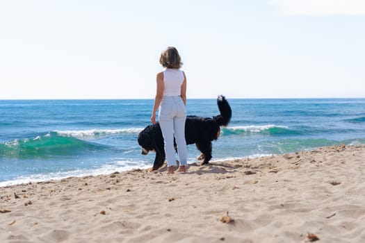 Rear view of a young woman walking with her dog along the sandy beach. Both face the ocean, enjoying a peaceful and sunny moment together in nature, with waves and serenity surrounding them.