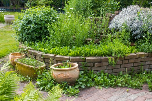 herb spiral in the garden with fresh herbs and flowers