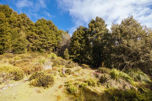 Iconic Du Cane Hut built by Patrick Joseph ‘Paddy’ Hartnett on the Overland Track is the oldest structure in the area. Photographed on a warm autumn morning in Cradle Mountain, Tasmania, Australia