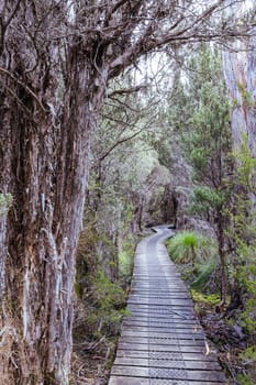 Boardwalks and landscape views near Narcissus Hut on a warm autumn morning in Cradle Mountain, Tasmania, Australia