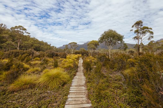 Boardwalks and landscape views near Narcissus Hut on a warm autumn morning in Cradle Mountain, Tasmania, Australia