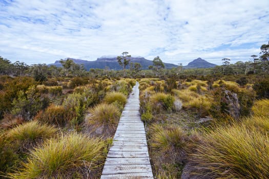 Boardwalks and landscape views near Narcissus Hut on a warm autumn morning in Cradle Mountain, Tasmania, Australia