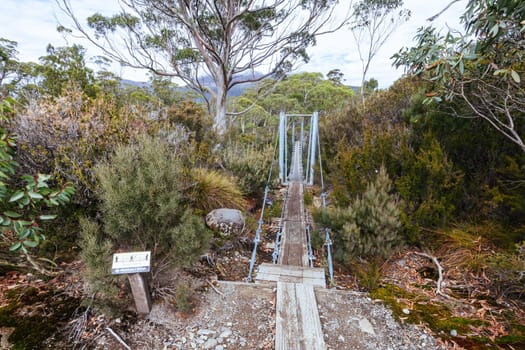 Iconic suspension bridge over the Narcissus River near Narcissus Hut on a warm autumn morning in Cradle Mountain, Tasmania, Australia