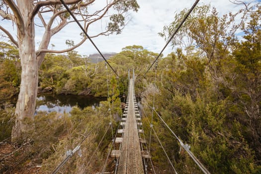 Iconic suspension bridge over the Narcissus River near Narcissus Hut on a warm autumn morning in Cradle Mountain, Tasmania, Australia