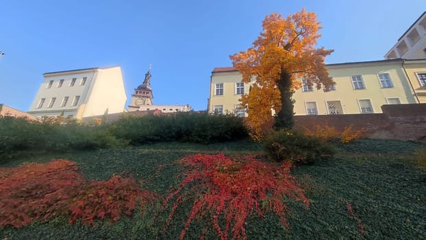 October 22 2024 Hradec Kralove, Czech Republic Europe, Kralov region, Kralovehradecky kraj, Autumn tree building. High quality photo sky blue landscape background trees church city
