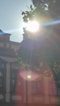 October 22 2024 Hradec Kralove, Czech Republic Europe Kralov region Kralovehradecky kraj, Sunlight tree building. High quality photo