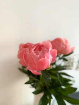 Soft pink petals of peonies gently unfurl, surrounded by rich green foliage, creating a serene and elegant arrangement, perfect for brightening any space with a touch of nature's charm and freshness