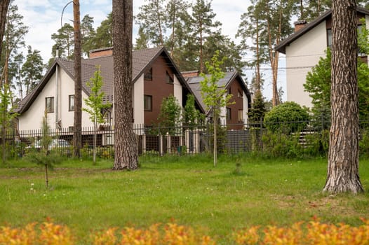 White residential houses in the village surrounded by pine forest. Various trees around the house. Lawn in the park. House in a nature reserve, forest, in the park. High quality photo