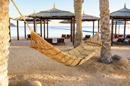 A beautifully woven hammock hangs between palm trees on a serene beach, inviting relaxation. The soft golden light of sunset reflects on calm waters as the shore remains peaceful.
