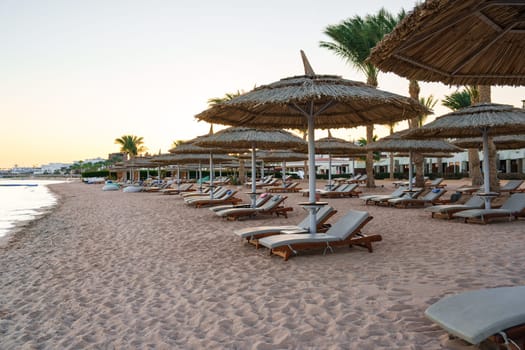 Sun loungers arranged under thatched umbrellas line a tranquil beach. Gentle waves lap the shore as palm trees sway in the breeze, creating a serene atmosphere at sunset.