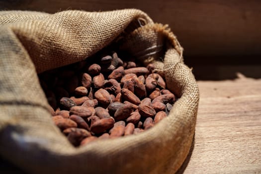 Cacao beans rest in a rustic burlap sack on a wooden table. The warm lighting highlights the rich colors of the beans, showcasing their natural beauty and texture.