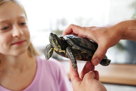 A young girl watches curiously as an adult gently holds a turtle in a well-lit indoor environment. The child appears engaged and fascinated by the reptile's features.