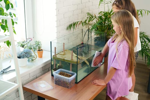 Two girls are engaged in cleaning a fish tank in a cozy indoor space filled with plants. They demonstrate care for aquatic life while learning responsibility on a sunny afternoon.