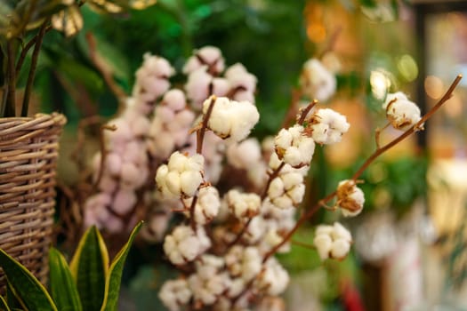 Cotton flowers are arranged artfully in a basket alongside lush green plants in a warm and inviting indoor space filled with soft lighting.