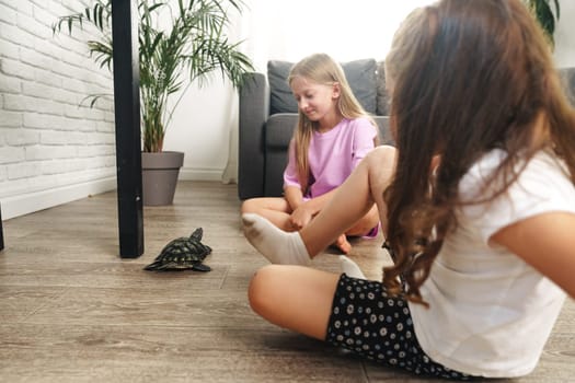 Two girls sit on the floor of a stylish living room, engaging with a small turtle. Sunlight filters in, creating a relaxed atmosphere for their playful moment.