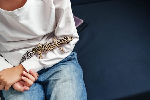 A child is sitting comfortably on a sofa, gently holding a leopard gecko on their arm. The relaxed setting suggests a quiet afternoon of bonding with the pet.
