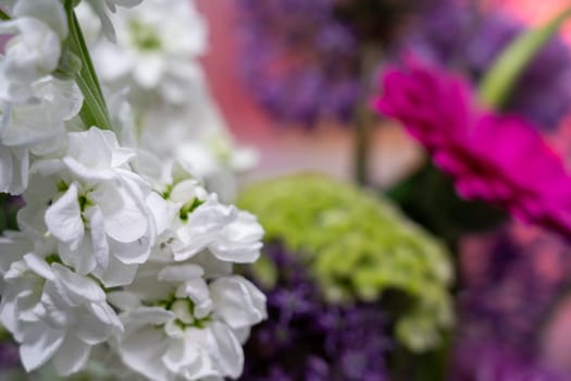 A collection of various flowers in a vase showcases bright colors and textures. The arrangement features white, purple, and pink blooms, perfect for spring decor in a cheerful setting.
