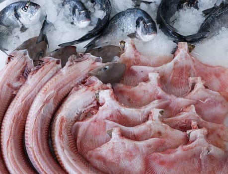 Vibrant fish market exhibit filled with fresh seafood options, Mustelus or smooth-hounds genus of sharks and Raja skate fillets, sea bass on ice, typical of Greek culinary traditions.