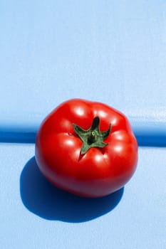 Tomato on a blue background
