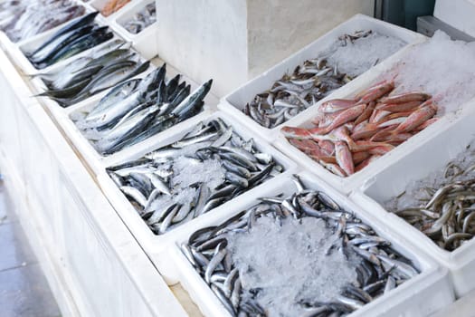 Vendors showcase a variety of fresh fish on ice at Greek fish market, early morning hours with glistening ice.
