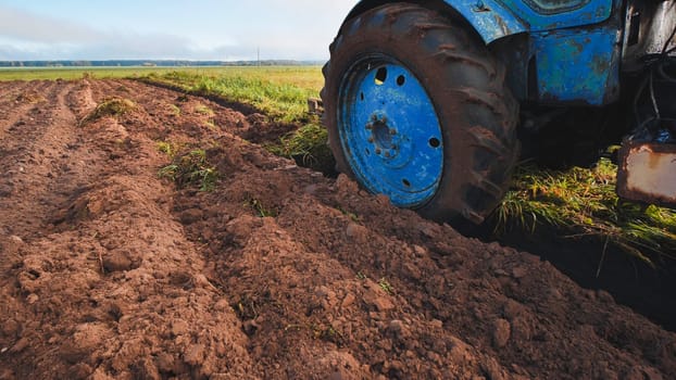 Blue tractor is plowing fertile soil in field, creating furrows for crops, on sunny autumn day