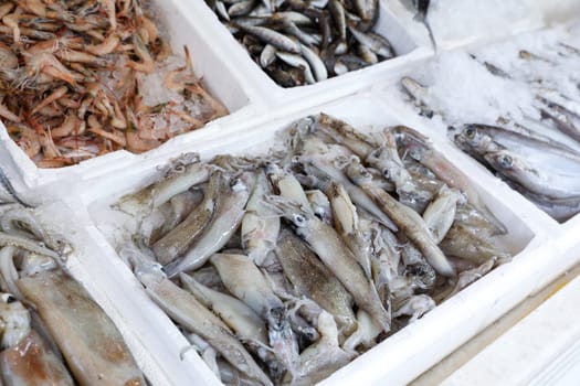 Colorful assortment of fresh seafood displays in Greek fish market. Ice surrounds various fish types, creating an inviting atmosphere for shoppers.