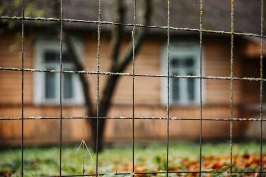 Rusty wire mesh fence covered with moss and lichen, blurred wooden house and autumn leaves on the ground in the background