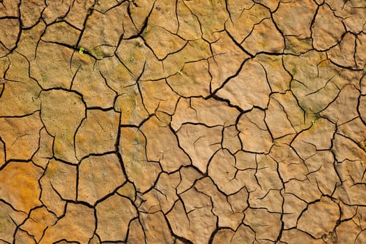 Dry cracked earth texture showing drought and climate change effects
