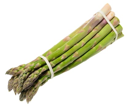 Fresh green asparagus bundle tied with rubber band, isolated on white background. Healthy and delicious vegetable close-up