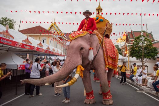 Thai Elephants at the Opening Ceremony of Wat Saket Festival Fair in Bangkok in Thailand.  Thailand, Bangkok, November, 8, 2024.