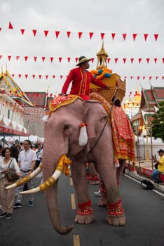 Thai Elephants at the Opening Ceremony of Wat Saket Festival Fair in Bangkok in Thailand.  Thailand, Bangkok, November, 8, 2024.