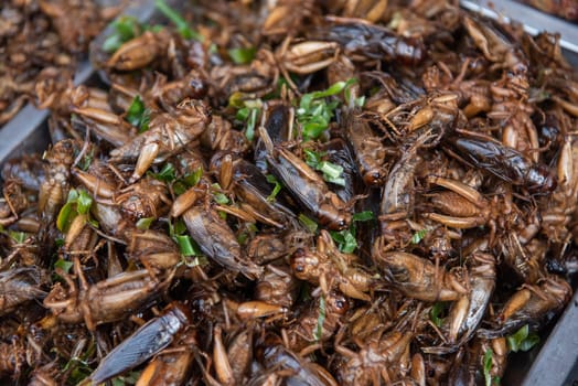 crispy Insects at Thai Food Market on Wat Saket Festival Fair in Bangkok in Thailand.  Thailand, Bangkok, November, 8, 2024.